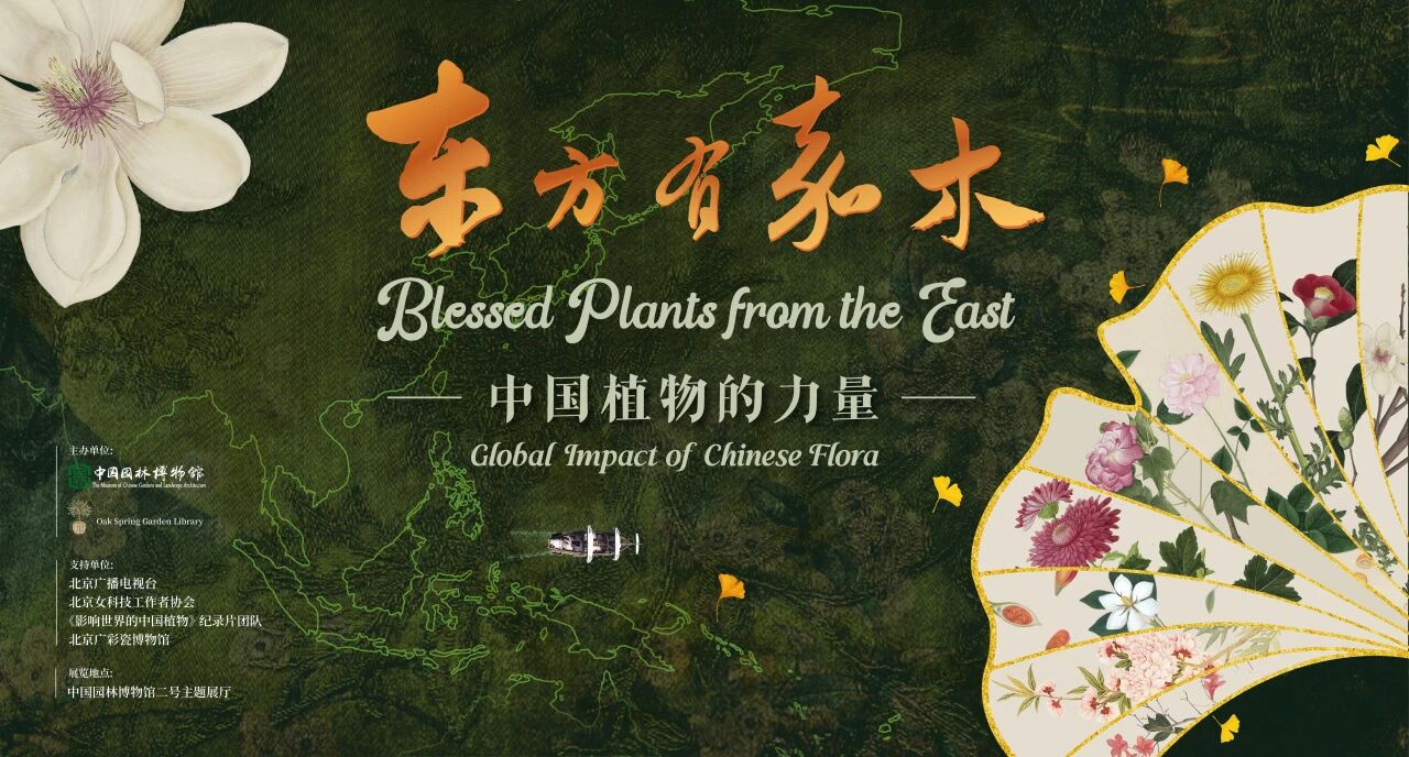 园林讲堂 | 招募！绘尽草木三千 解码中国植物科学画的近现代演进
