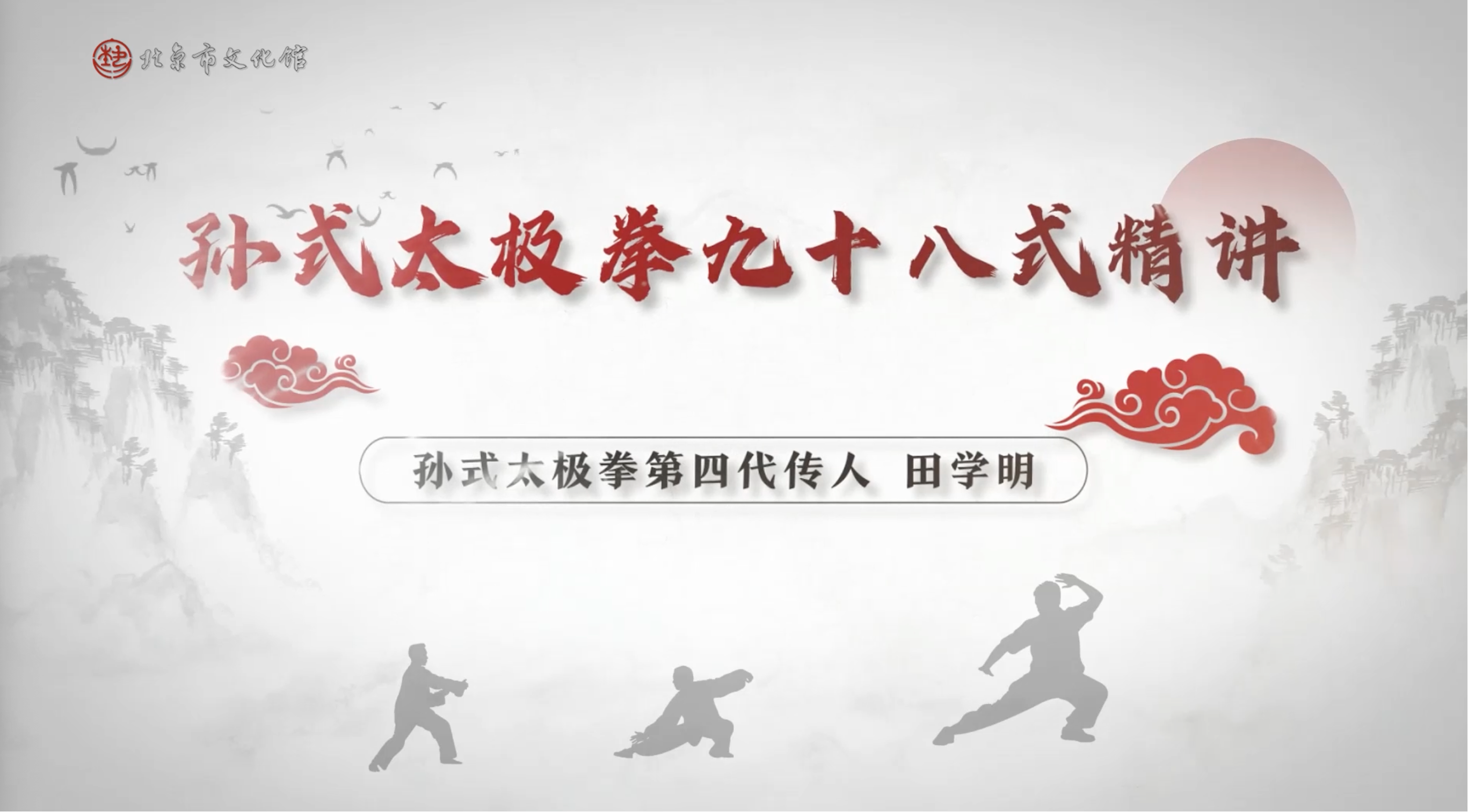 孙氏太极拳98式精讲