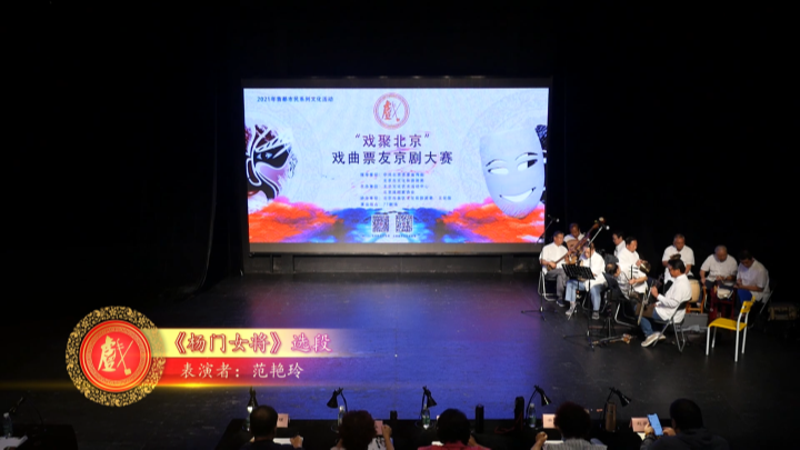 《杨门女将》选段